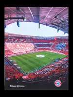 FC Bayern München Kuschelfleecedecke Allianz Arena