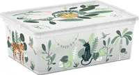 C Box - S - Fantastical Tropical - 11 L