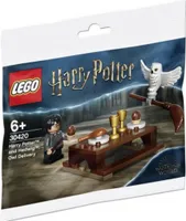 LEGO 30420 - Harry Potter™ und Hedwig™: Eulenlieferung, 6 Jahre