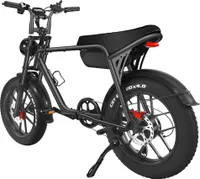 25 km/h E-Bike, zusammenklappbares Citycoco-Elektrofahrrad mit Lithiumbatterie