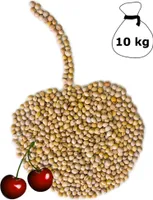 Kirschkerne lose für Wärmekissen Kirschkernkissen 10 kg Kissen Waermekissen Baby Füllung Körnerkissen Kerne Koernerkissen Füllmaterial Kirschkern DML