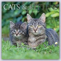 Kalender 2023 »Cats und Kittens«.
