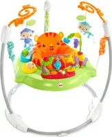 Fisher-Price CHM91, Vícebarevný, Plast, Textil, Kov, Jakékoliv pohlaví, 6 měsíc/ů, 12 měsíc/ů, Čína