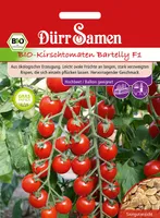 Kirschtomate Bartelly F1 Kirschtomatensamen von Dürr Samen