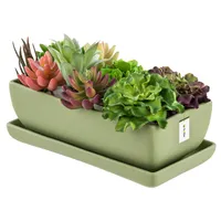 Blumentopf Keramik Hell grün Kaktenschale mit Untersetzer Rechteck LxBxH 15 cm x 29 cm x 9 cm Oberfläche Matt Kakten Modern Glamour