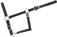 Halfter, Farbe:schwarz, Groesse:Warmblut