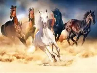 Diamond Painting