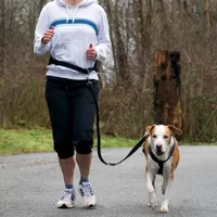 TRIXIE Jogginggürtel für Hunde Größe M Schwarz 12767