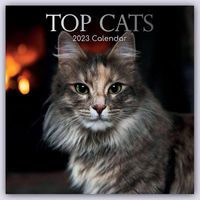 Top Cats - Top-Katzen 2023 - 16-Monatskalender