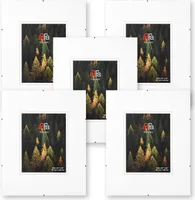 aFFa frames Rahmenloser Bilderhalter | Bilderrahmen | Acrylglas | mit Clips | für Fotos und Poster | Plakatrahmen | Cliprahmen | Posterrahmen |Plexiglas, HDF, 29,7x42 cm | 1 Packung mit 5