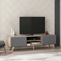 TV Schrank Grindsted Lowboard mit 2 Fächern Fernsehtisch mit Stauraum Wohnzimmer Eiche-Optik Anthrazit TV Board