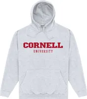 Cornell University - Mikina s kapucí pro muže/dámy Uni PN195 (XL) (šedá skvrnitá)