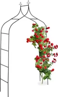relaxační růžový oblouk vysoký 260 cm