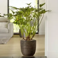 Capi Blumentopf Nature Rib 43x41 cm Dunkelbraun