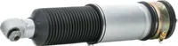 RIDEX 4118A0108 - OE 37106767863 Luftfederbein, hinten für 7er (E65)