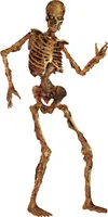 Ruchomy szkielet na Halloween, tekturowy ekspozytor stojący beżowo-brązowy 180 cm