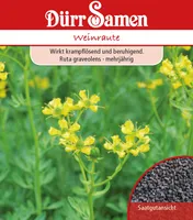 Dürr-Samen - Weinraute - Saatgut - 0191