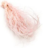 Federgras Getrocknete - (Stipa pennata) - Rosa