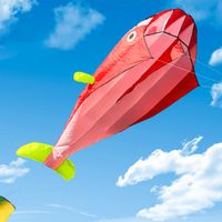 3D Kinder Drachen Einleiner Flugdrachen Drachenfliegen Flugspielzeug Park T7B5