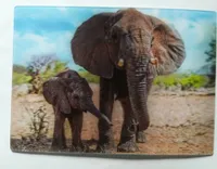 3 D Ansichtskarte Elefanten, Postkarte Wackelkarte Hologrammkarte, Tier Elefant