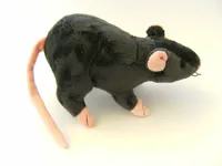 Plüschtier Ratte / Maus 20 cm, schwarz, Kuscheltiere Stofftiere Ratten Mäuse Tiere Tier