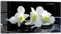 DEQORI Küchenrückwand Glas 80x40 cm 'Orchidee mit Zen-Steinen' Spritzschutz Bad Rückwand