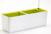 Plastia Selbstbewässerungskasten Berberis - weiß + grün 60 cm