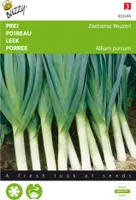 Sommerporree Bluvetia | Lauchsamen von Buzzy Seeds