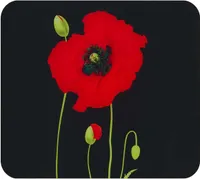 MULTI deska MOHN