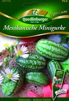 Quedlinburger Saatgut - Mini-Gurken Mexikanische - Samen - 291719