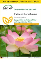 SAFLAX Anzucht Set - Indische Lotusblume - Nelumbo nucifera   - 8 Samen - Mit Mini-Gewächshaus, Anzuchtsubstrat und 2 Töpfen