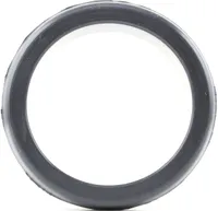 FA1 076.365.100 Dichtring