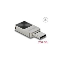 Delock Mini USB 5 Gbps USB-C Speicherstick 256 GB - Metallgehäuse
