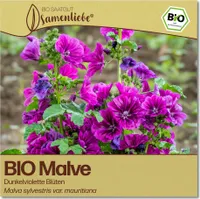 Malve Samen Dunkelviolette Blüten Blumen-Samen Saatgut Malvesamen