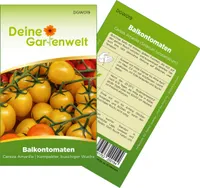Balkontomaten Balconi yellow Samen - Solanum lycopersicum - Balkontomatensamen - Gemüsesamen - Saatgut für 20 Pflanzen
