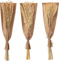 Manahee Design | Bukiet Suszonych Kwiatów z Riet | Naturalny | 45 cm x 14 cm x 10 cm