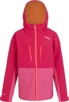 Regatta - "Highton V" dětská mikina s kapucí RG10843 (170-176) (Pinker Trank/Flamingo-Rosa)