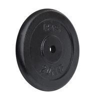 Tcz20 Platte Schwarz 20 Kg Hms