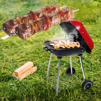 Kugelgrill Standgrill Grill Grillwagen Rundgrill BBQ mit Rollen Deckel