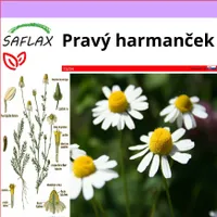 SAFLAX - Pravý harmanček - Matricaria chamomilla - 300 Semená