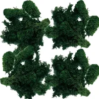 Islandmoos dunkelgrün 400 g