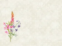 Dunicel Tischsets Floret 100 Stück 1er Pack
