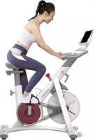 YESOUL S3 Fitnessbikes Fitness Bike Heimtrainer weiß /white