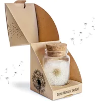 Wunscherfüller echte Pusteblume im Glas inkl. Geschenkbox | handgefertigt in Deutschland | ideales Geschenk für Geburtstag, Hochzeit, Abschluss und mehr