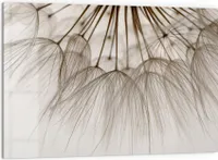 DEQORI Küchenrückwand Glas 60x40 cm 'Pusteblumenpoesie' Spritzschutz Bad Rückwand Küche