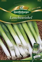 Quedlinburger Lauchzwiebel Kaigaro - Premium Gemüsesamen
