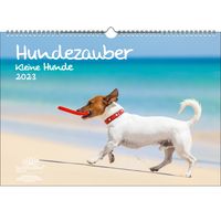 Hundezauber Kleine Hunde DIN A3 Kalender für 2023 Welpen und kleine Hunde - Seelenzauber