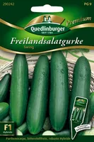Quedlinburger Saatgut - Gurken Freilandsalat- Swing - Samen - 290242
