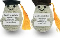 2PCS Bachelor Geschenk – Positive Kartoffel Glücksbringer, Mutmacher für Master Abschluss & Prüfung – Pocket Hug, Wolle Pota Deko