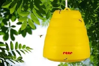 reer - Universelle Wespenfalle